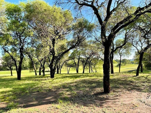 Imagen 7 de 10 de Lote Terreno En Venta Country Lomas De La Carolina