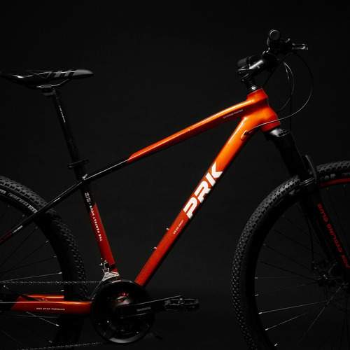Mountain Bike Ember R29 21v