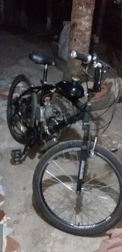 Caloi
