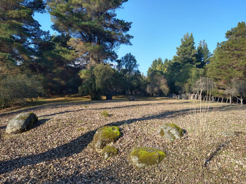 Chacra - Las Golondrinas