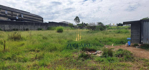 Área À Venda, 30000 M² Por R$ 21.000.000,00 - Cidade Aracilia - Guarulhos/sp - Ar0197