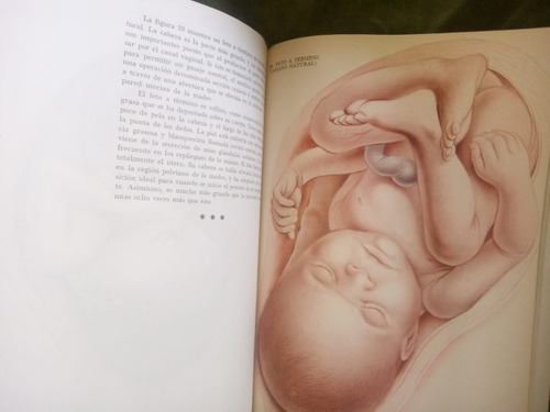 Libro Concepción, Nacimiento Y Anticoncepción. Edit. Paidos