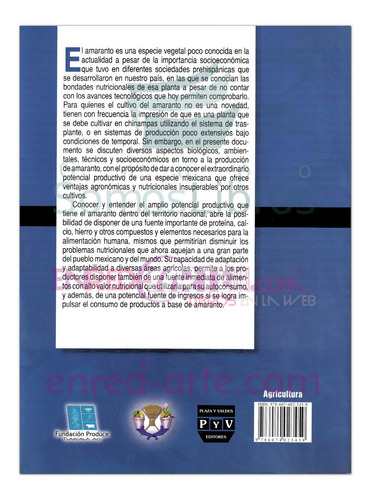 Amaranto, Recomendaciones Para Su Producción