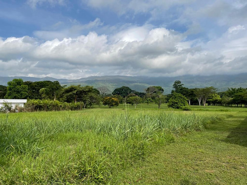 Imagen 12 de 14 de En Venta Terreno En Hato Royal