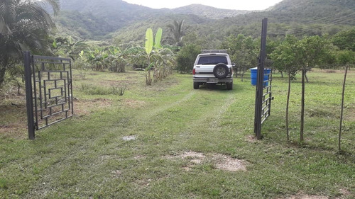 Imagen 1 de 17 de Parcela , En Ocumare De La Costa