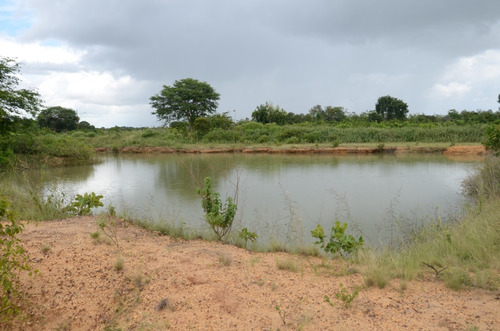 Imagen 20 de 28 de Se Vende Linda Finca En Oritupano