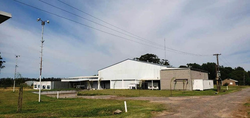Nave Industrial - Zarate