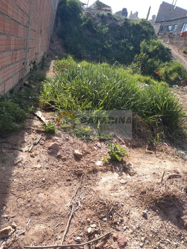 Imagem 8 de 14 de Belíssimo Terreno Em Ótima Localização!