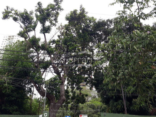 Imagem 7 de 7 de Terreno Na Região Água Fria - Cf24552