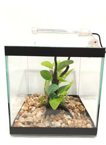 Imagem 3 de 5 de Kit Aquário Beteira Cubo 8 Litros Condicionador/decor/ração