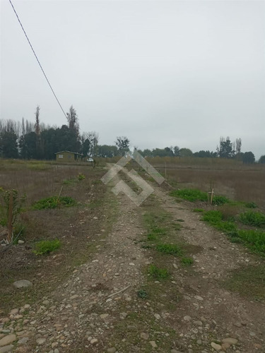 Agrícola En Venta En Linares