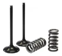Comprar Valvula Admision Isuzu C-201\u002F221  Diesel Thermoking Ø  38mm.
