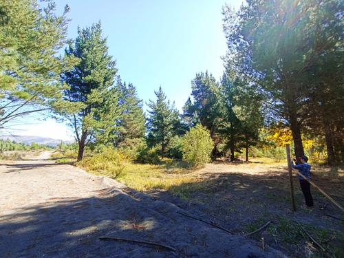 Venta Sitio Proyecto El Arrayan Camino Unihue Talcamavida