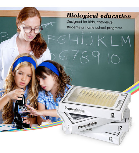 48pcs/set Of Microscope Slides Prepared In
