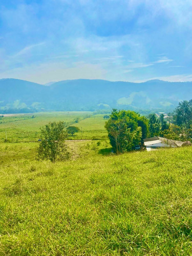 Imagem 3 de 13 de W40- Oportunidade De Ter Seu Terreno Agende Já Sua Visita
