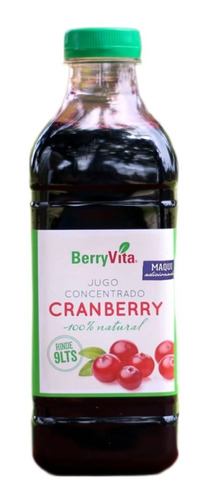 Jugo Concentrado Cranberry + Maqui 100%natural 1lt.agronewen