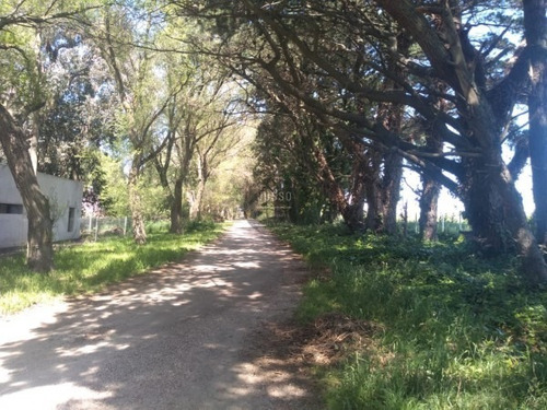 Imagen 2 de 15 de Lote Barrio Colinalegre Venta 740m2