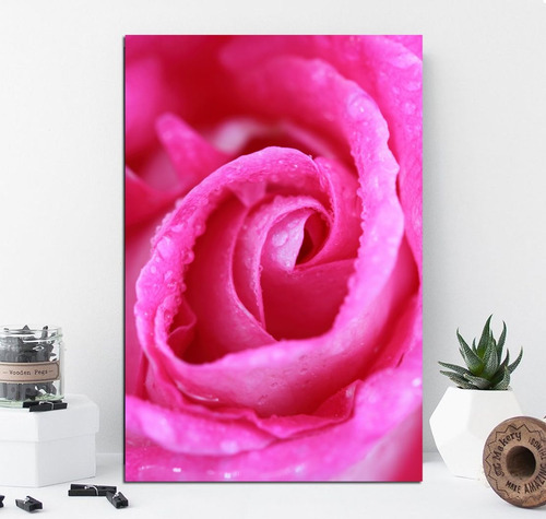 Vinilo Decorativo 30x45cm Rosa Flor Naturaleza Petalo