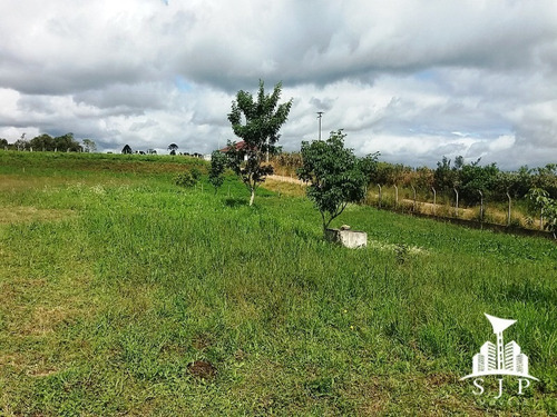 Chacara - Ch00006 - 32300586