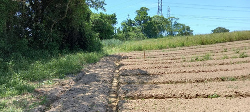 Imagem 2 de 21 de 03o-terreno Com 10mil De Entrada