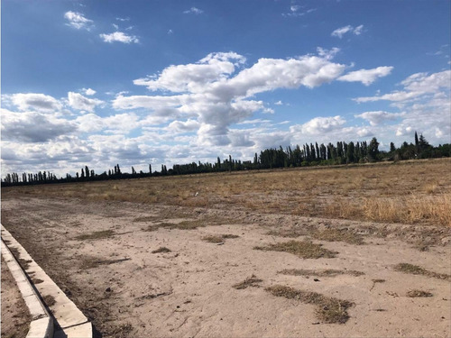 Loteo En Venta San Rafael Mendoza- Las Paredes