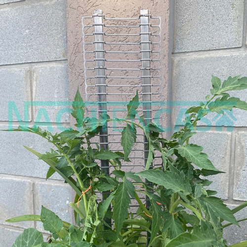 Imagen 3 de 10 de Tutor Para Plantas Trepadoras Huertas Jardín Hierro Pack X 3