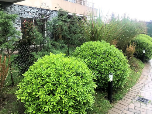 Imagen 13 de 14 de Departamento En Venta Con Jardín - Antares 2 Ambientes