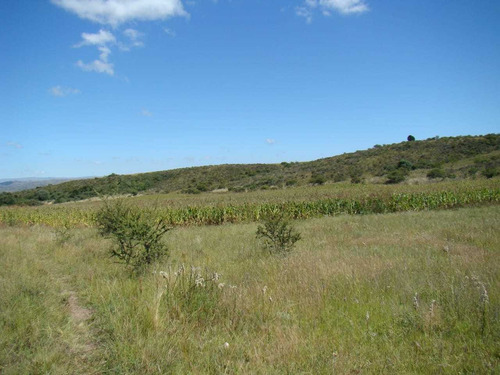 Chacra En Venta, Villa Giardino, Córdoba.