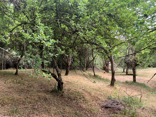 Parcela De 7.500 Mt2 En Sector Puninque