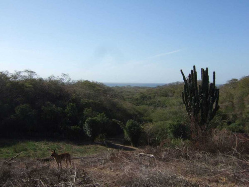Imagen 15 de 16 de Se Vende Terreno En Punta De Mita