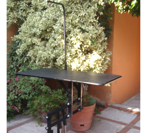 Mesa Para Estética Canina Con Doble Pistón Neumático
