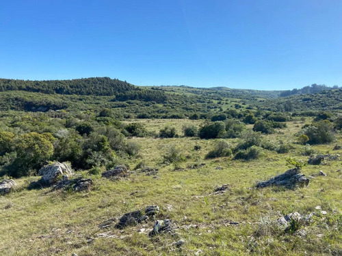 Chacra En  Pueblo Edén 