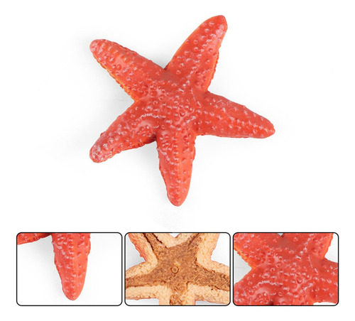 // 4 Piezas Simulación Modelo Acuario Decoración Mano De