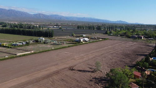Venta Lotes Barrio Verona Vistalba Lujan De Cuyo