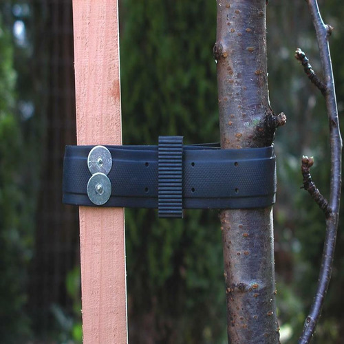 1 Paquete De Lazos Universales Para Árboles Al -