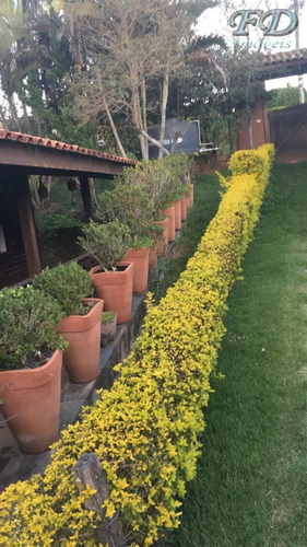 Imagem 2 de 14 de Chácaras À Venda Em Atibaia/sp - Compre O Seu Chácaras Aqui! - 1481271