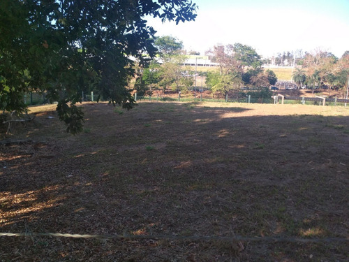 Imagem 3 de 9 de Terreno Comercial Com 1.859 M² Na Avenida Dr. José Cesário Monteiro Da Silva, Em Excelente Localização! - Te00205 - 68563397