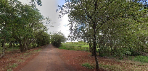 Imagem 11 de 15 de Area - Area Rural De Cambe - Ref: 10356 - V-10356