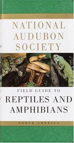 Guía De Campo De Reptiles Y Anfibios