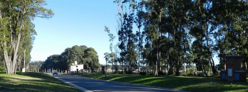 Imagen 4 de 5 de Venta | Lote | Barrio Privado Las Prunas