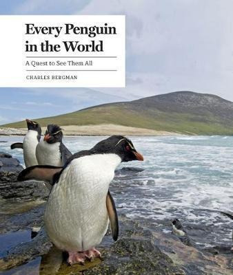 Every Penguin In The World : A Quest To See Them All - Ch...