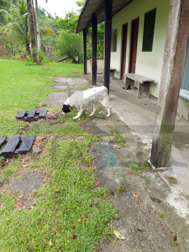 Imagem 29 de 30 de Sítio À Venda Em Miracatu - 163 - 32982536