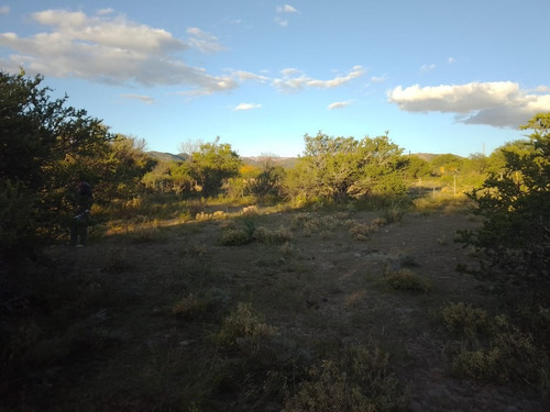 Imagen 8 de 17 de Oportunidad En Panaholma ! Hermosos Lotes De 1350 M2 A 300 Metros Del Rio