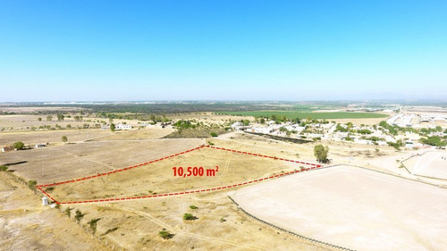 Imagen 4 de 15 de Oportunidad M2 En $132.00 En Montoro 10,500 M2 De Terreno.