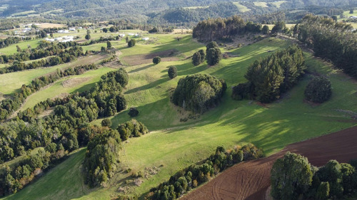 Imagen 3 de 16 de Campito De 7ha Mirador Del Mañio - Los Muermos