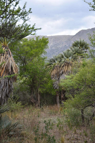 Venta Lote San Luis 700m2 Entrada San Francisco Del Monte De Oro