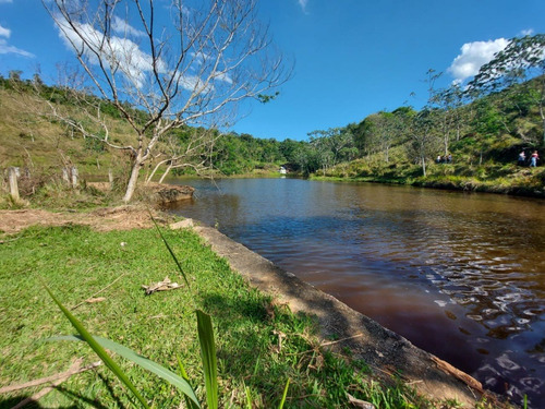 Imagem 7 de 30 de 03i- Ótima Vista Para Natureza...
