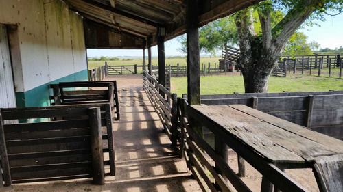 Campo En Venta En Artigas 340 Has
