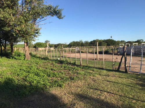 Se Vende Campo Mixto 161 Ha En Los Molinos (córdoba), A Tranquera Cerrada.