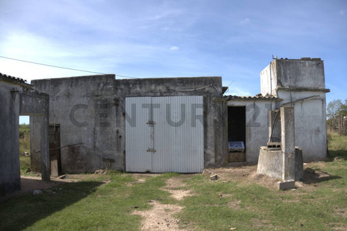 Venta Chacra Avícola Y Productiva En Canelones